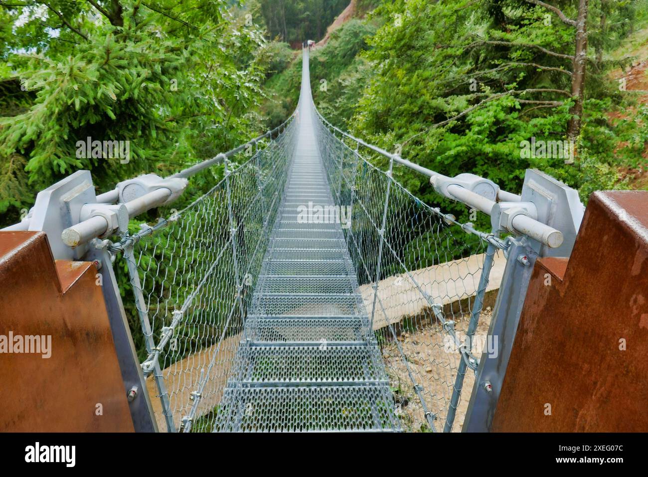 Pont dans la forêt, photo comme fond , dans les montagnes pasubio, dolomiti, alpes, thiene schio vicenza, italie du nord Banque D'Images