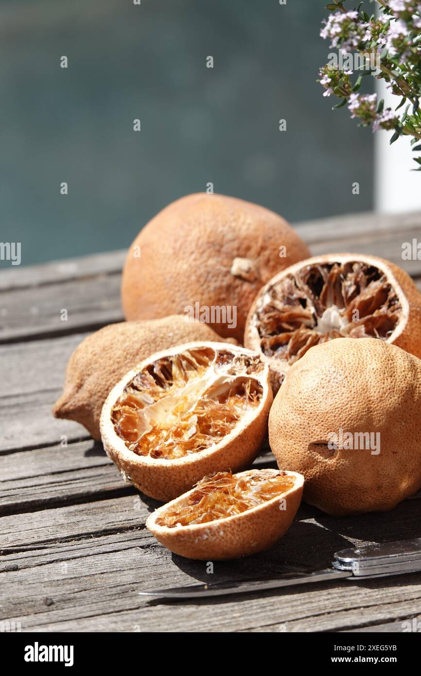 Citrus sinensis, Orangen, séché Banque D'Images