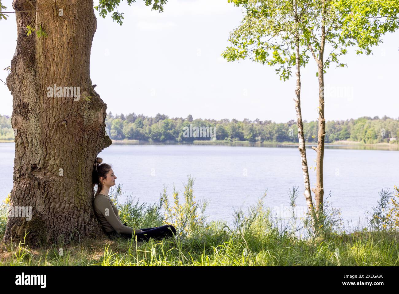 Moment tranquille au bord du lac : femme reposant sous un arbre Banque D'Images