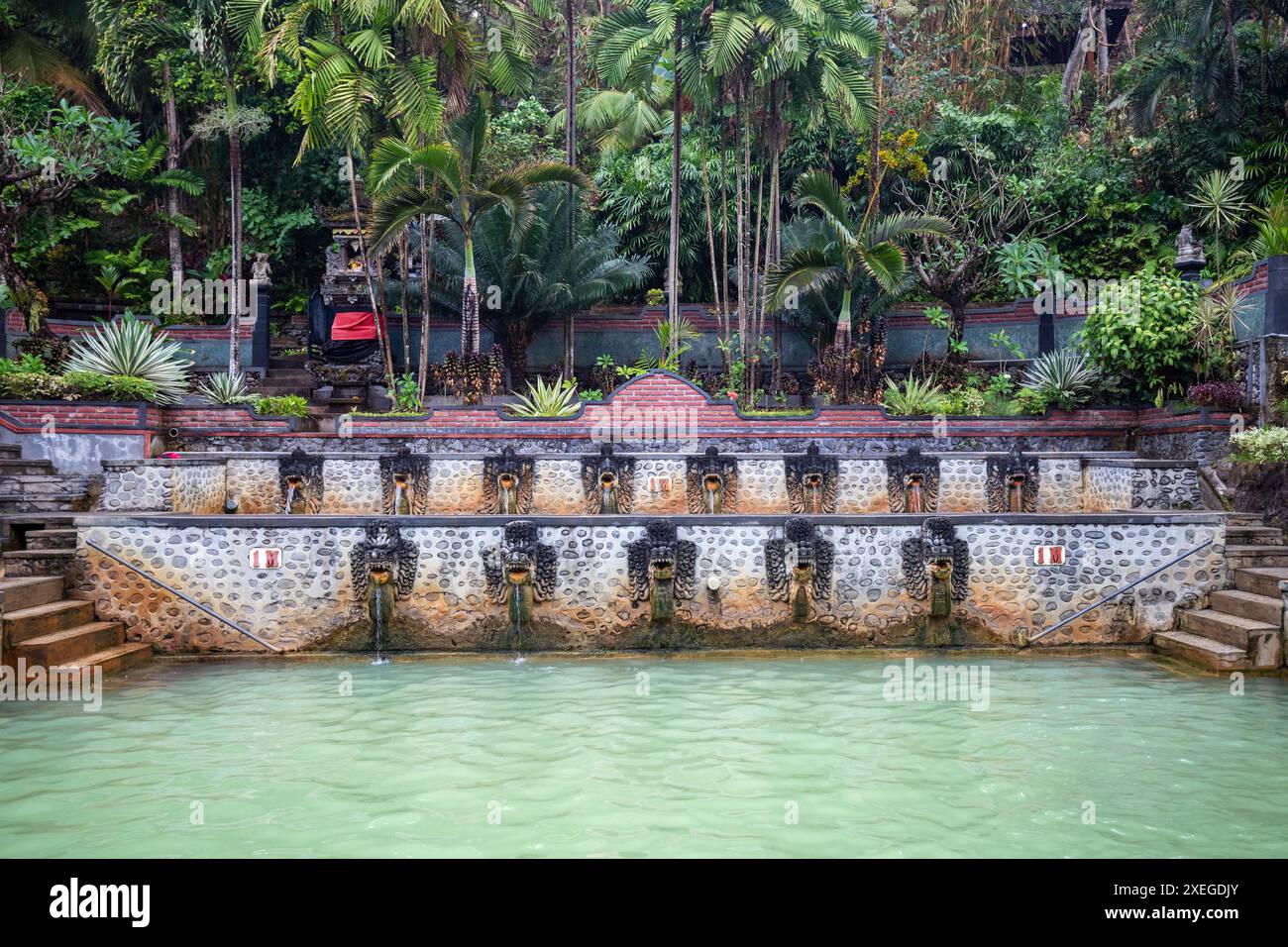 Sources chaudes, bain thermal dans la jungle tropicale. Piscine sulfureuse rituelle pour la baignade. Banjar, Bali Banque D'Images