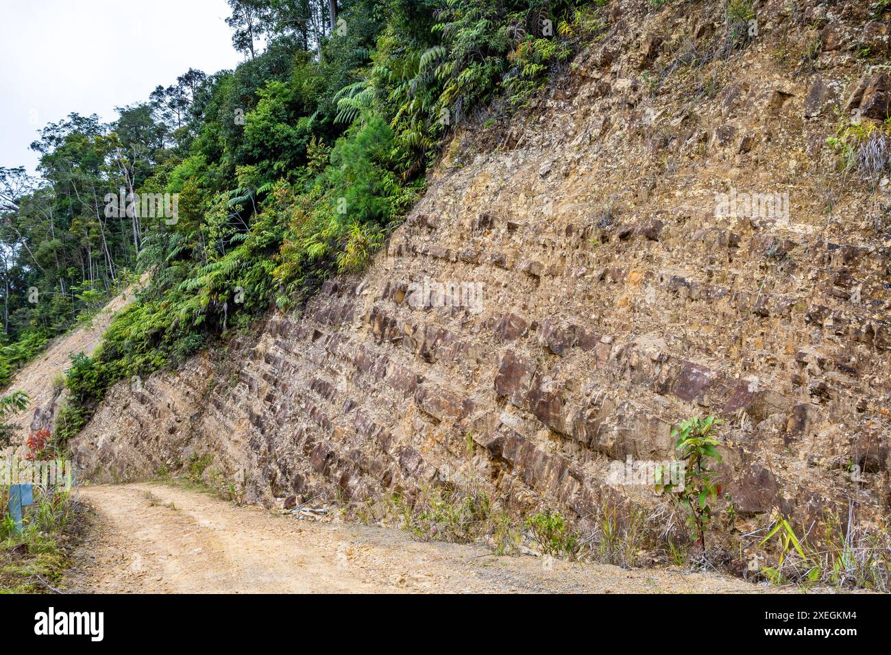 Grès et schiste intercalés dans les montagnes de Bornéo, Malaisie. Banque D'Images