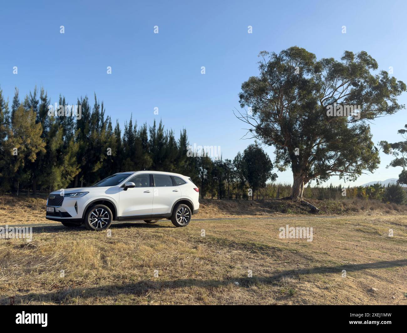 Paarl Western Cape Afrique du Sud. 24.04.2024. Voiture chinoise 4x4 blanche dans la campagne du Cap occidental en Afrique du Sud Banque D'Images Paarl Western Cape Afrique du Sud. 24.04.2024. Voiture chinoise 4x4 blanche dans la campagne du Cap occidental en Afrique du Sud Banque D'Images