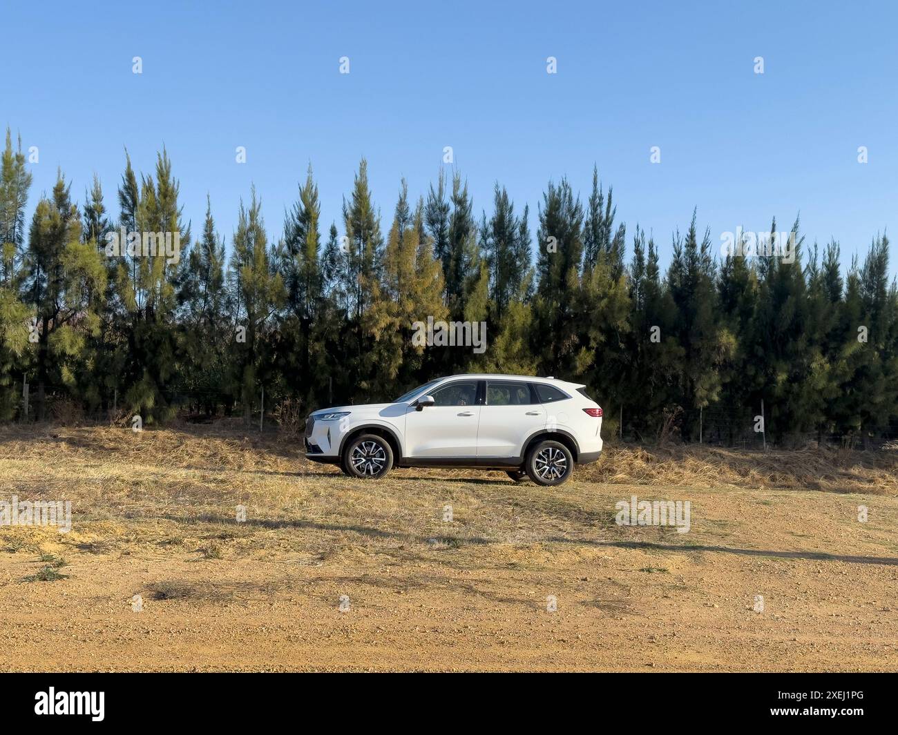 Paarl Western Cape Afrique du Sud. 24.04.2024. Voiture chinoise 4x4 blanche dans la campagne du Cap occidental en Afrique du Sud Banque D'Images Paarl Western Cape Afrique du Sud. 24.04.2024. Voiture chinoise 4x4 blanche dans la campagne du Cap occidental en Afrique du Sud Banque D'Images