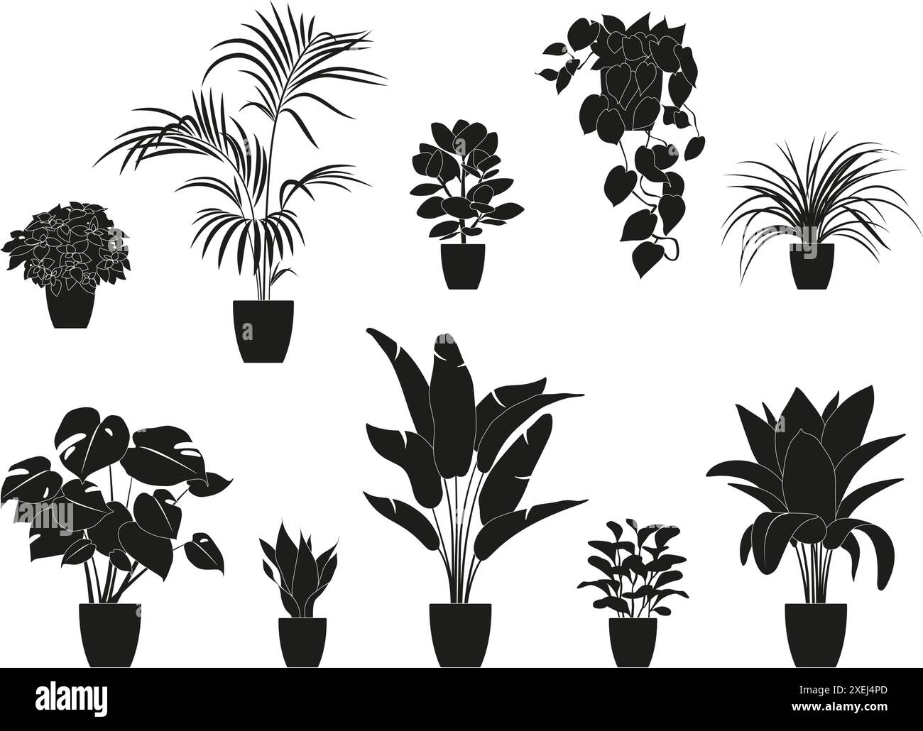 Collection silhouettes de plantes de maison de couleur noire. Plantes en pot isolées sur blanc. Plantes tropicales vertes. Décoration tendance avec plantes d'intérieur Illustration de Vecteur