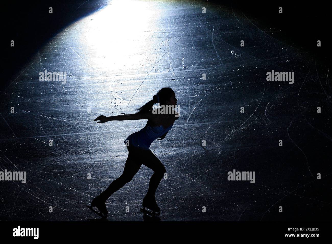 Patins de patins artistiques à l'honneur Banque D'Images