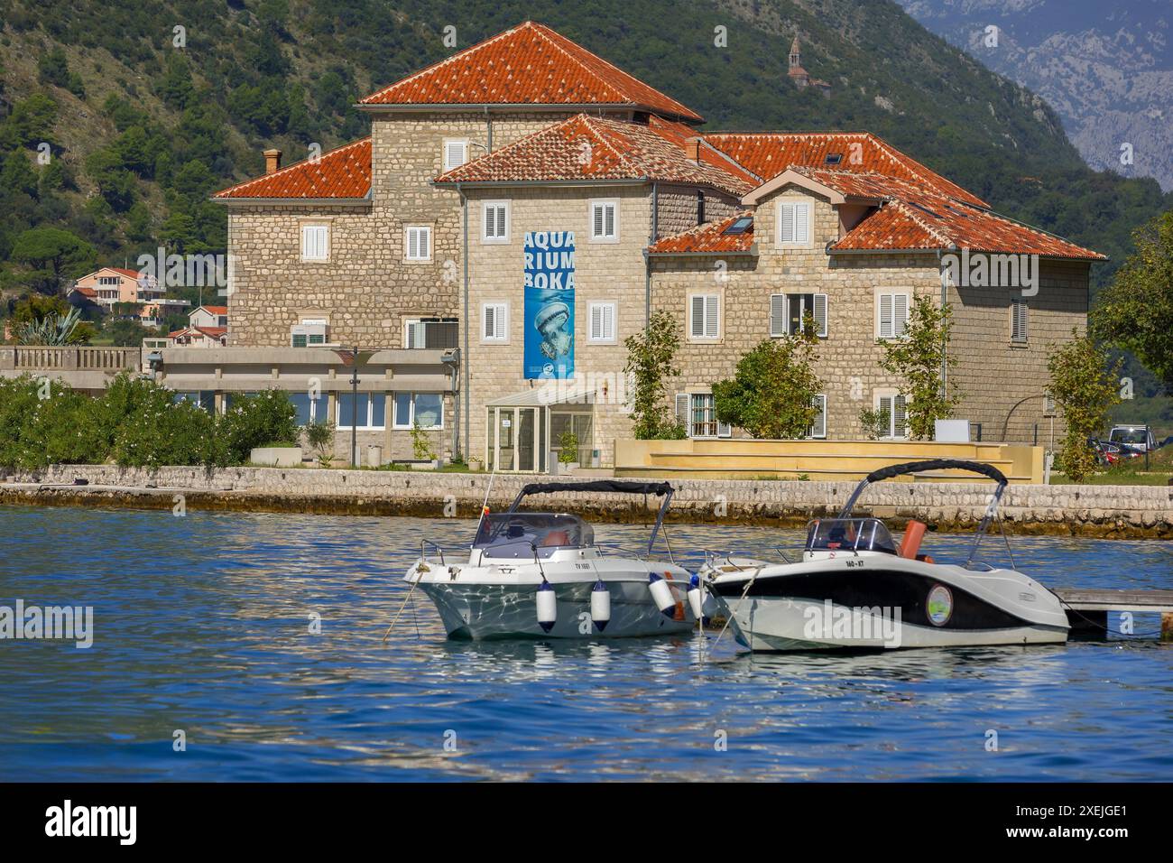 Institut de biologie marine de Dobrota, Monténégro Banque D'Images