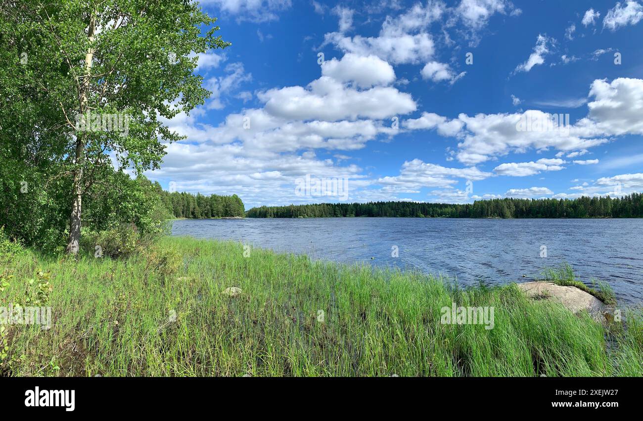 Lac d'été et paysage forestier avec l'eau bleue et le ciel et les nuages blancs Finlande Banque D'Images
