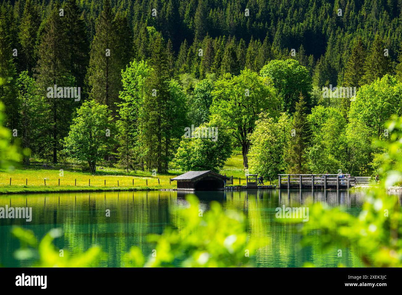 Randonnée et détente au lac JÃ¤Gersee pendant la summe autrichienne Banque D'Images