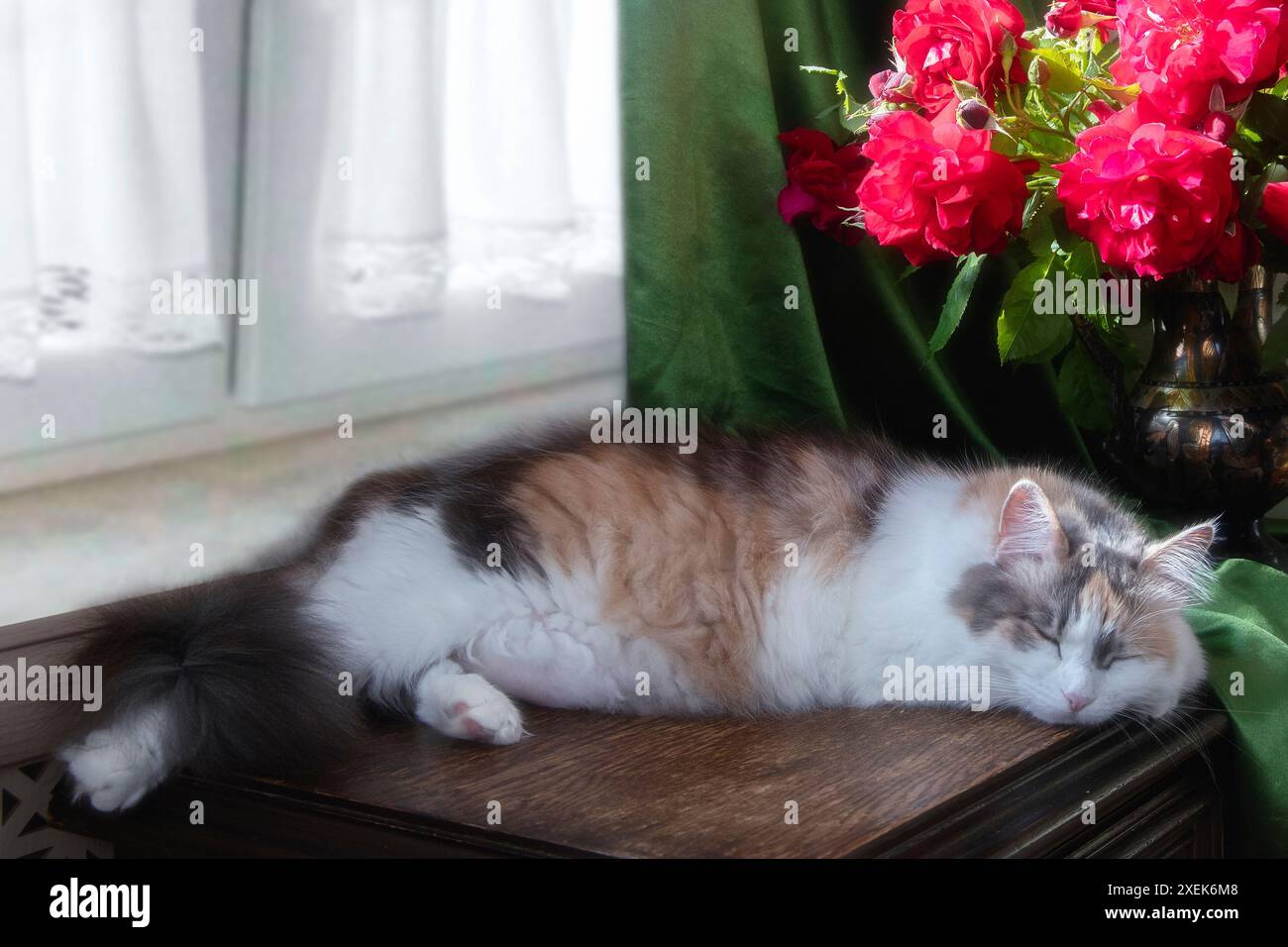 Nature morte avec bouquet de fleurs et chatte curieuse Banque D'Images