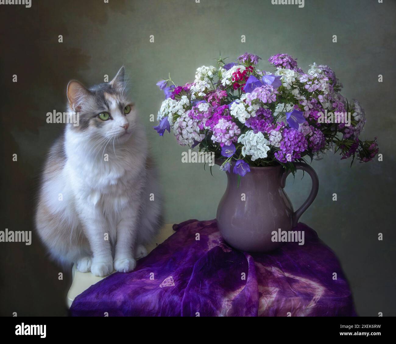 Nature morte avec bouquet de fleurs et chatte curieuse Banque D'Images