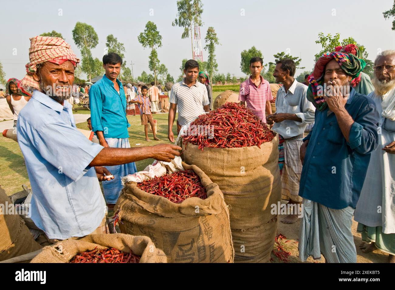 Bangladesh. Environs de Bogra. Banque D'Images