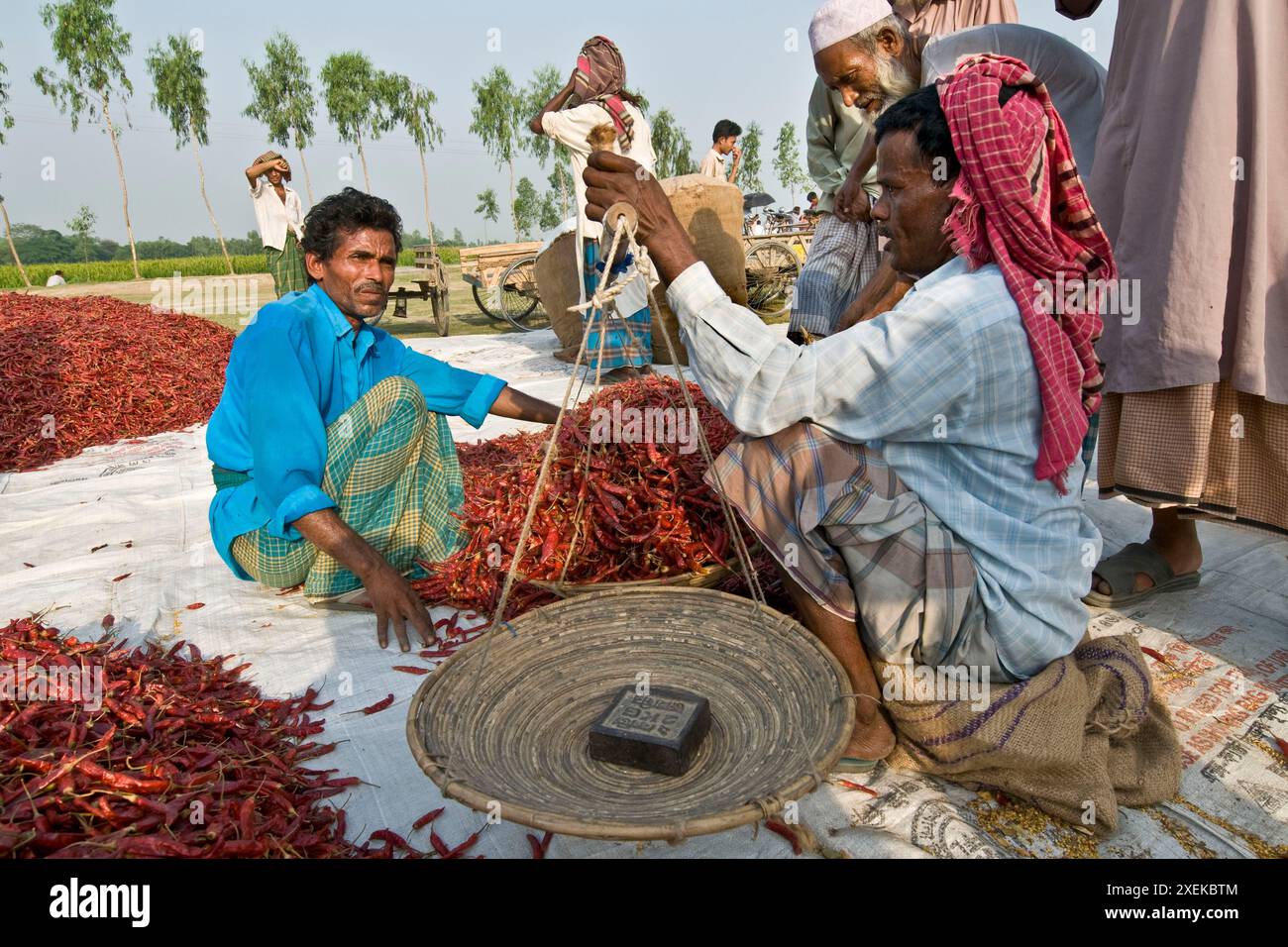 Bangladesh. Environs de Bogra. Banque D'Images