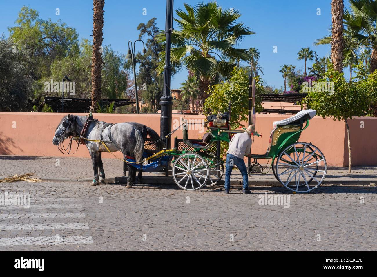 Les touristes et les habitants de Marrakech parcourent joyeusement les rues labyrinthiques de la ville dans des calèches traditionnelles, le charme durable de Marrakech, Authenti Banque D'Images