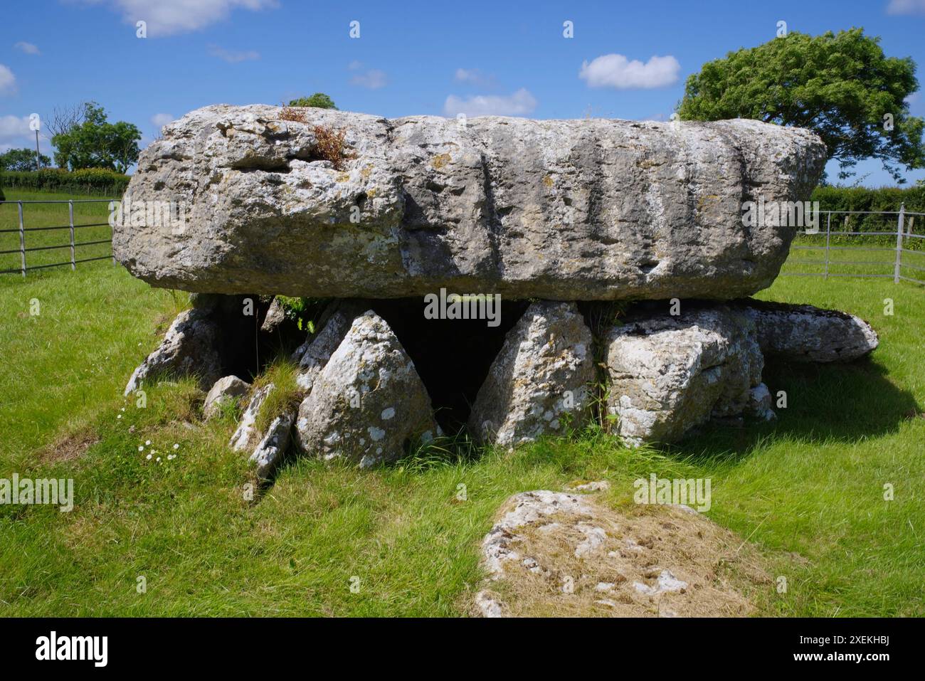 Lligwy, chambre funéraire, Moelfre, Anglesey, pays de Galles du Nord, Royaume-Uni. Banque D'Images