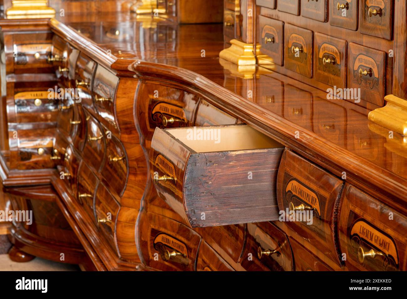 Pharmacie historique Salvator à Bratislava, Slovaquie Banque D'Images