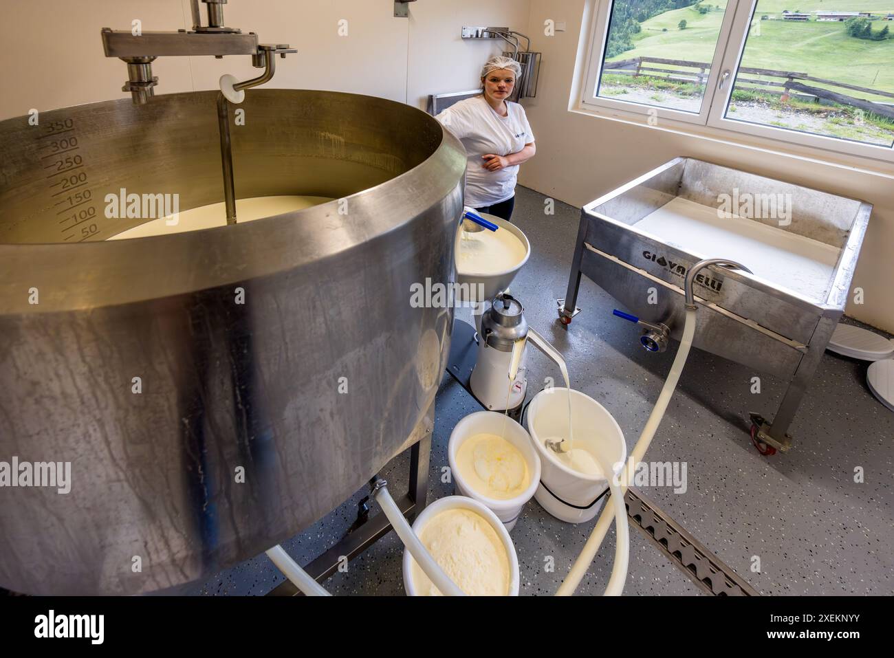 Dans sa propre laiterie à la ferme Promegghof dans la vallée de Großarl, Salzbourg, Autriche, Bettina Huber produit divers types de fromage ainsi que du beurre, de la crème, du yaourt et de la glace. Tous les produits sont disponibles à la Filzmoosalm en été. Une centrifugeuse sépare la crème du lait entier à cette fin. Banque D'Images