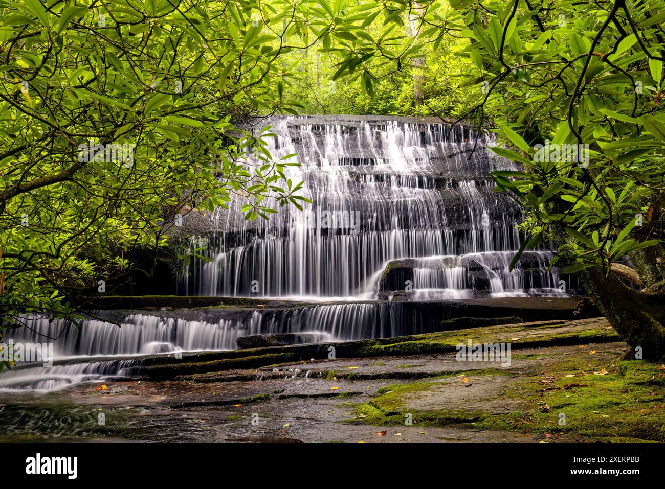 Chutes de Grogan Creek (ou chutes sur Grogan Creek) - sentier Butter Gap, forêt nationale de Pisgah, près de Brevard, Caroline du Nord, États-Unis Banque D'Images