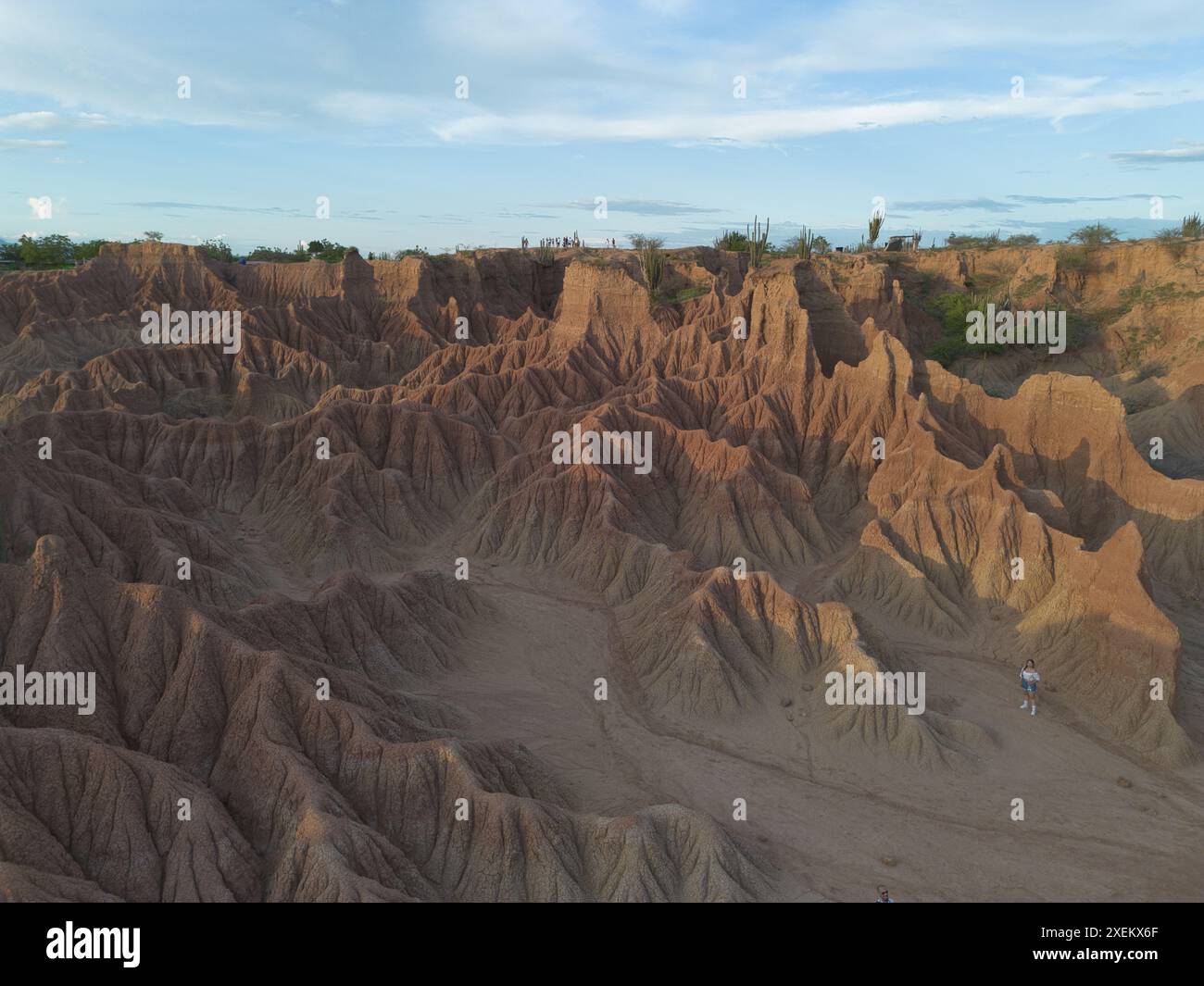 Vue aérienne du désert de Tatacoa en Colombie, mettant en valeur ses formations rocheuses rouges frappantes et ses paysages érodés uniques baignés de soleil. Banque D'Images