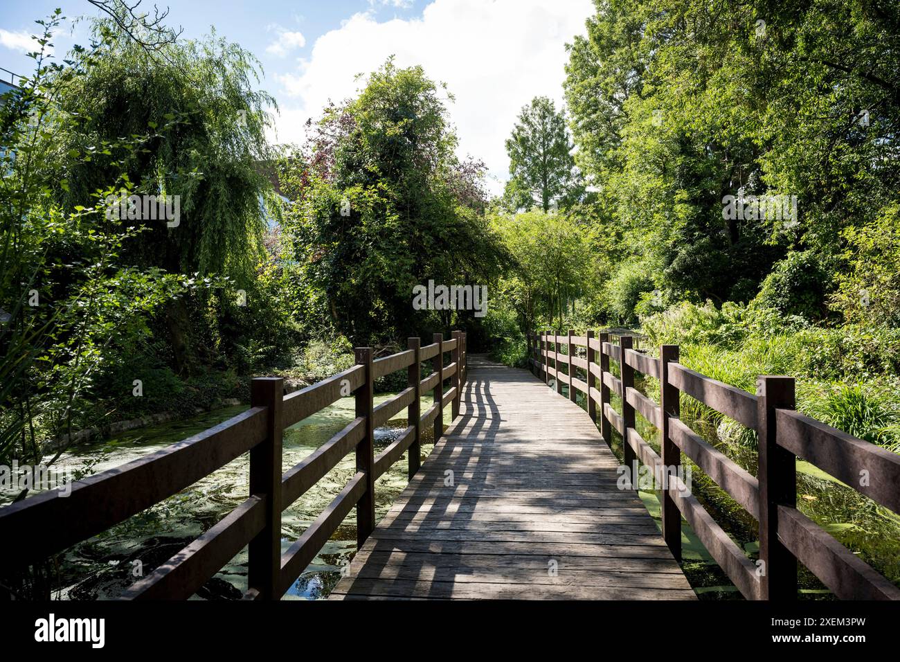 Promenade avec lumière du soleil et ombres le long de New River Walk, Islington, Londres, Royaume-Uni ; Londres, Angleterre Banque D'Images