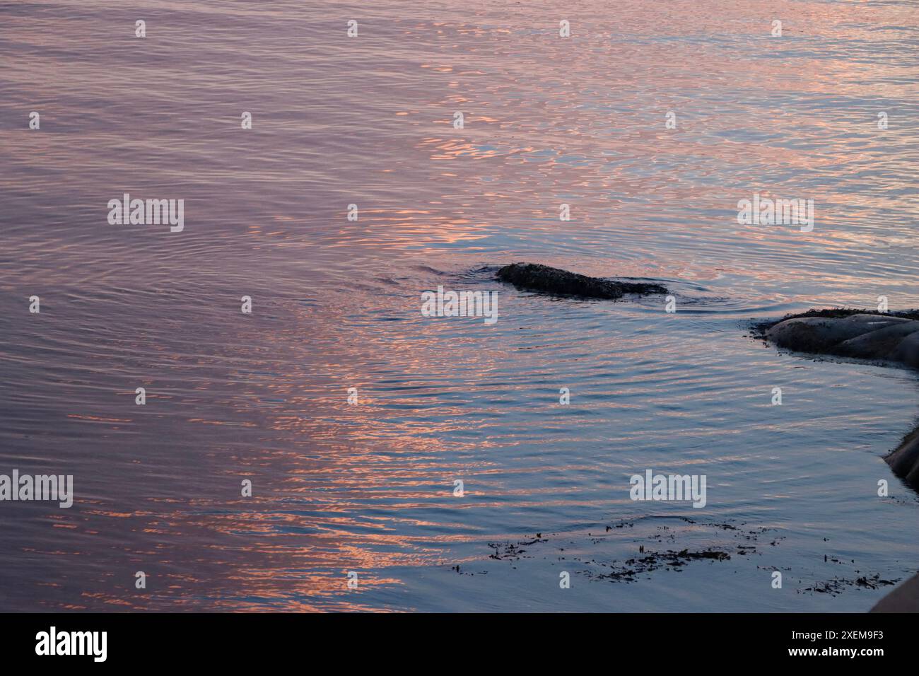 Reflets dans l'eau après le coucher du soleil sur l'île dans l'archipel de Fjällbacka sur la côte ouest de la Suède. Banque D'Images