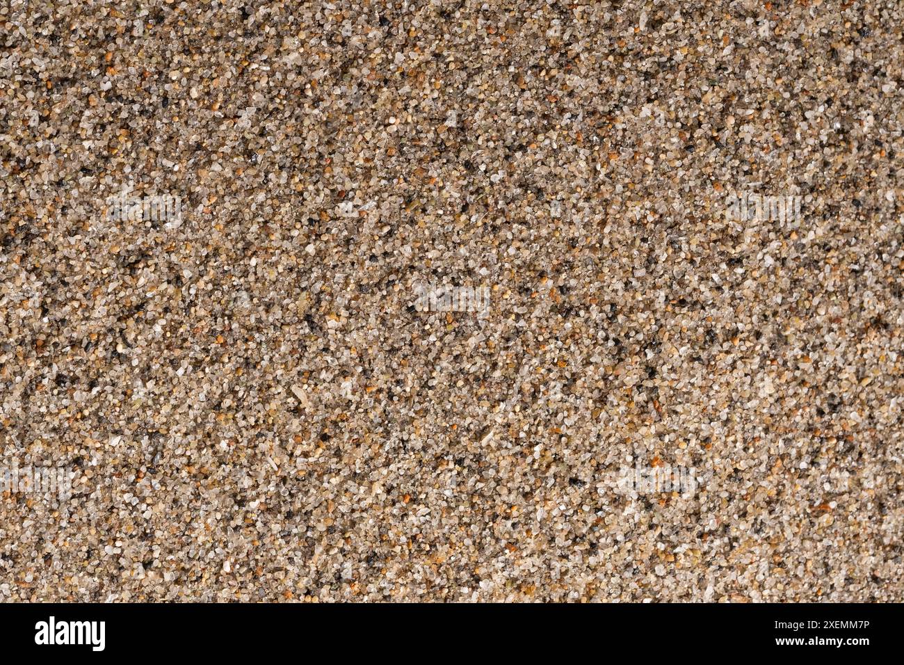Texture de fond de sable avec de petits cailloux, gros plan Banque D'Images