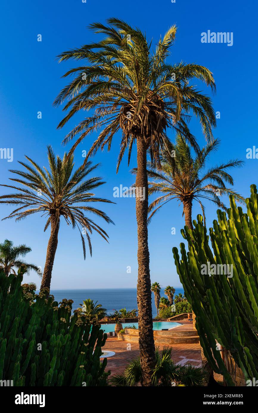 Palmiers et piscine le long de la côte de l'île de Pantelleria ; Pantelleria, Sicile, Italie Banque D'Images
