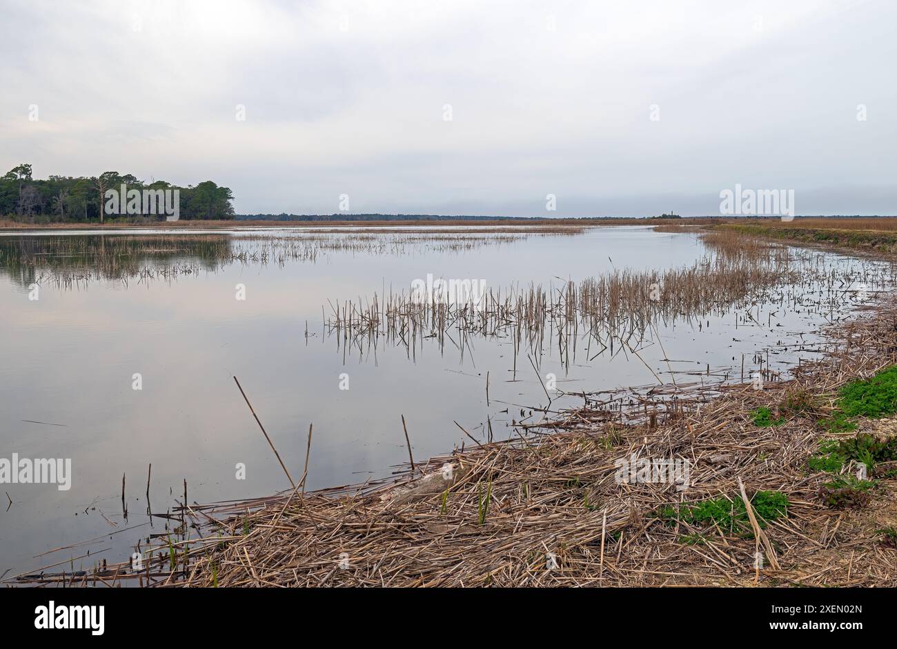 Estuaire de Salt Marsh un jour nuageux dans la réserve côtière de Santee en Caroline du Sud Banque D'Images