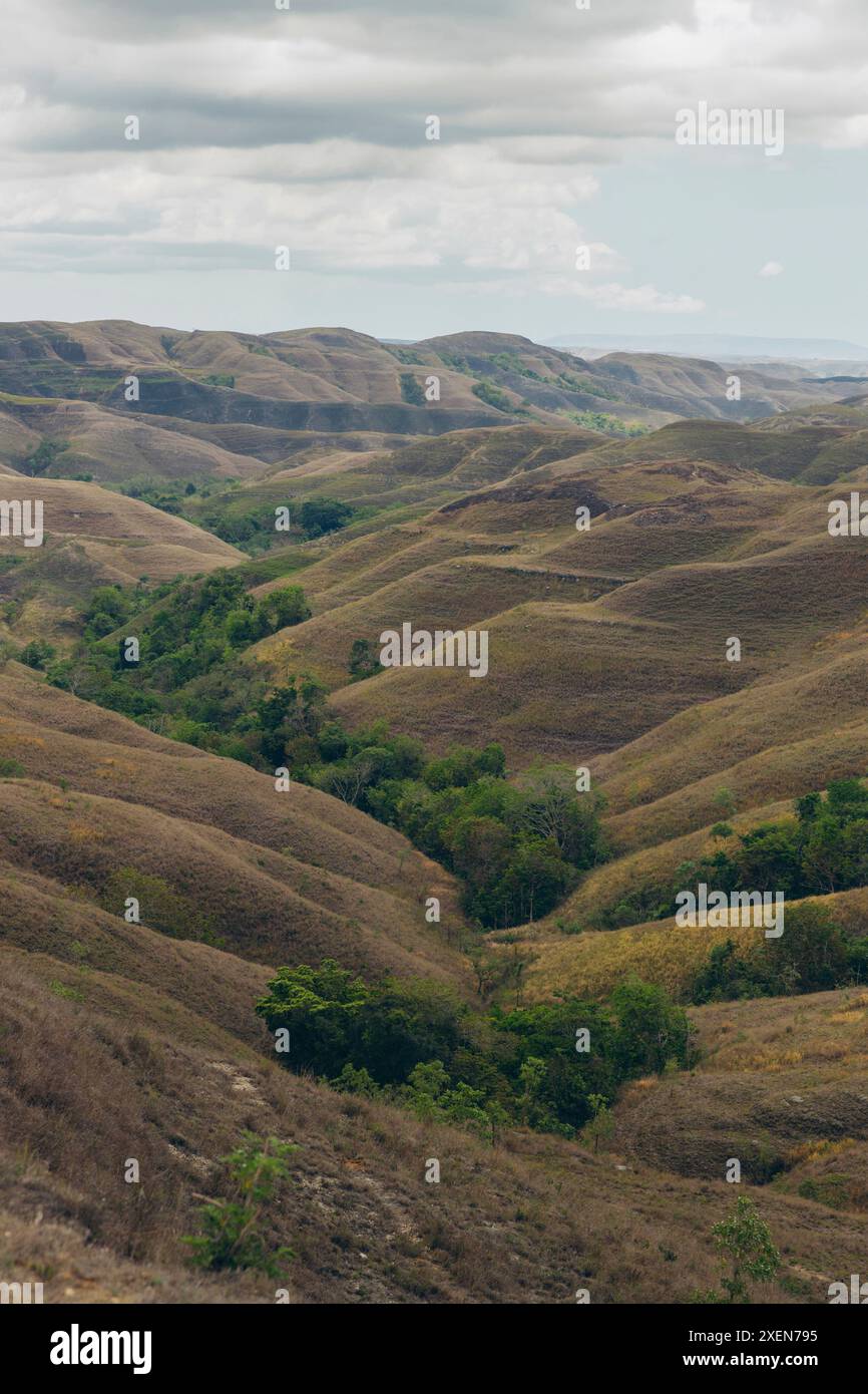 Vue aérienne au-dessus de la vaste zone de Bukit Wairinding de l'est de Nusa Tenggara, Indonésie, est de Nusa Tenggara, Indonésie Banque D'Images