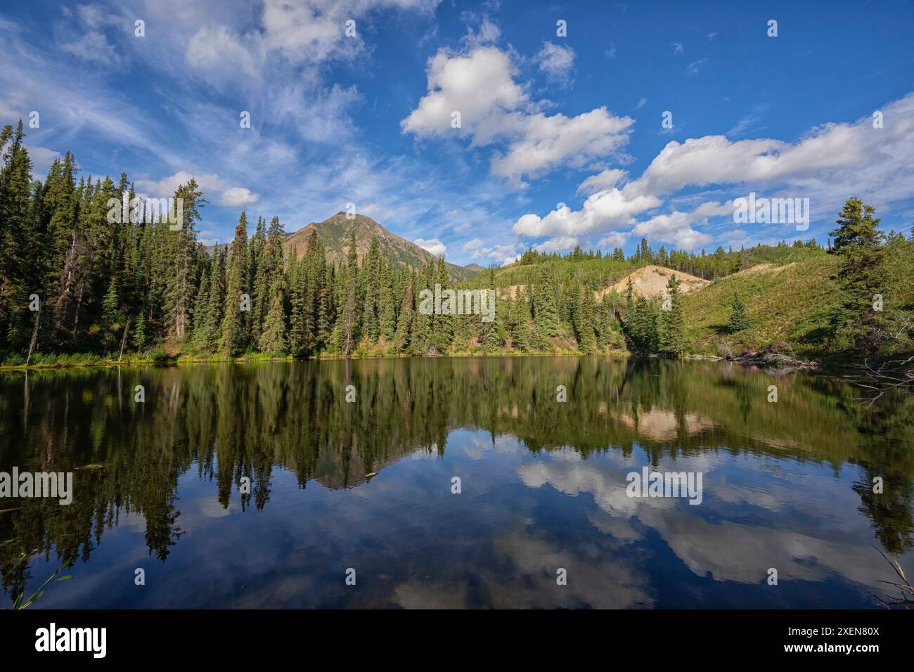 Rive bordée d'arbres et ciel d'été reflété dans un petit étang près du lac Annie ; Whitehorse, Yukon, Canada Banque D'Images