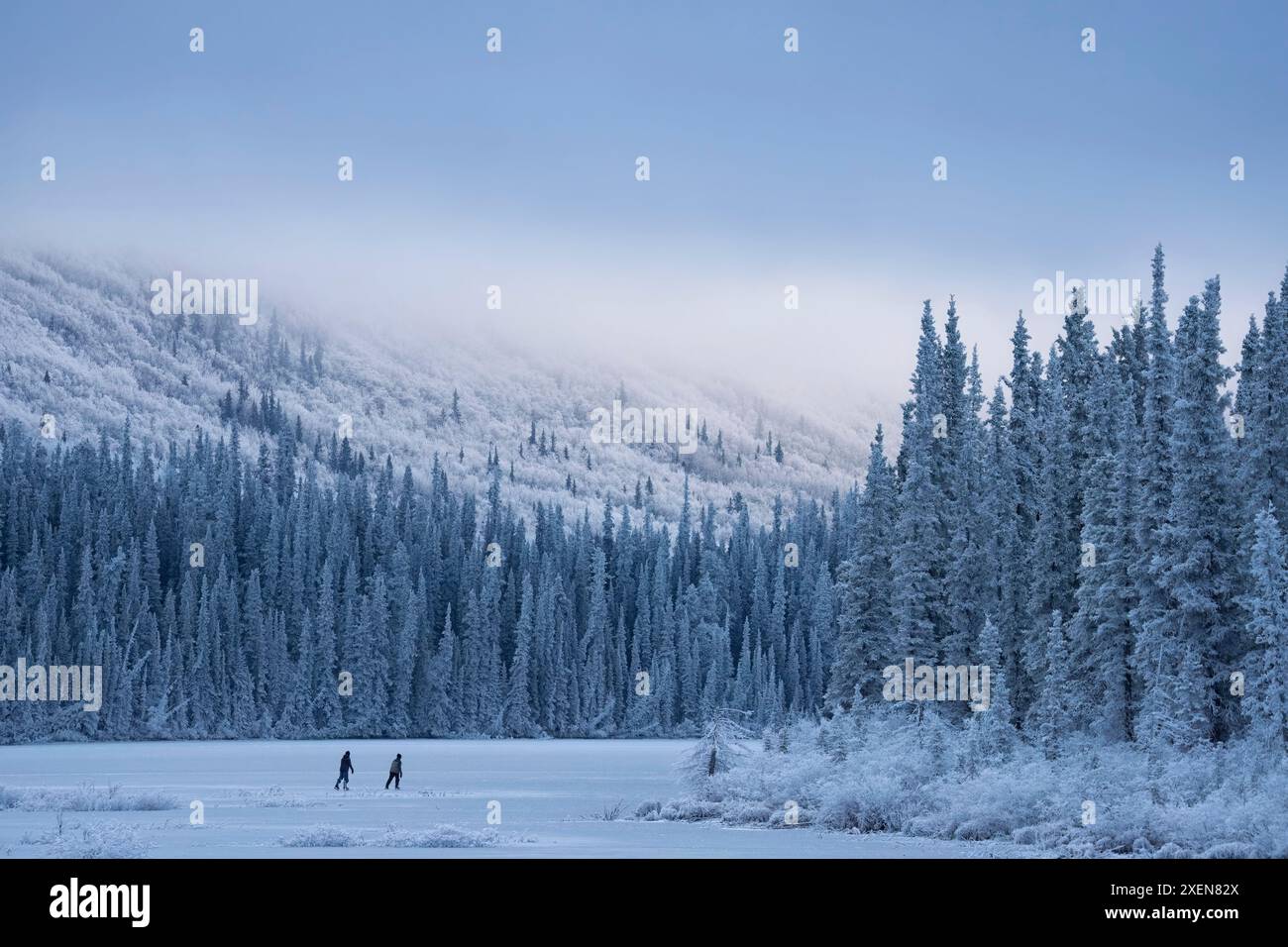 Un couple de personnes patinant sur le lac Annie gelé entouré par la beauté d'un hiver Yukon ; Whitehorse, Yukon, Canada Banque D'Images