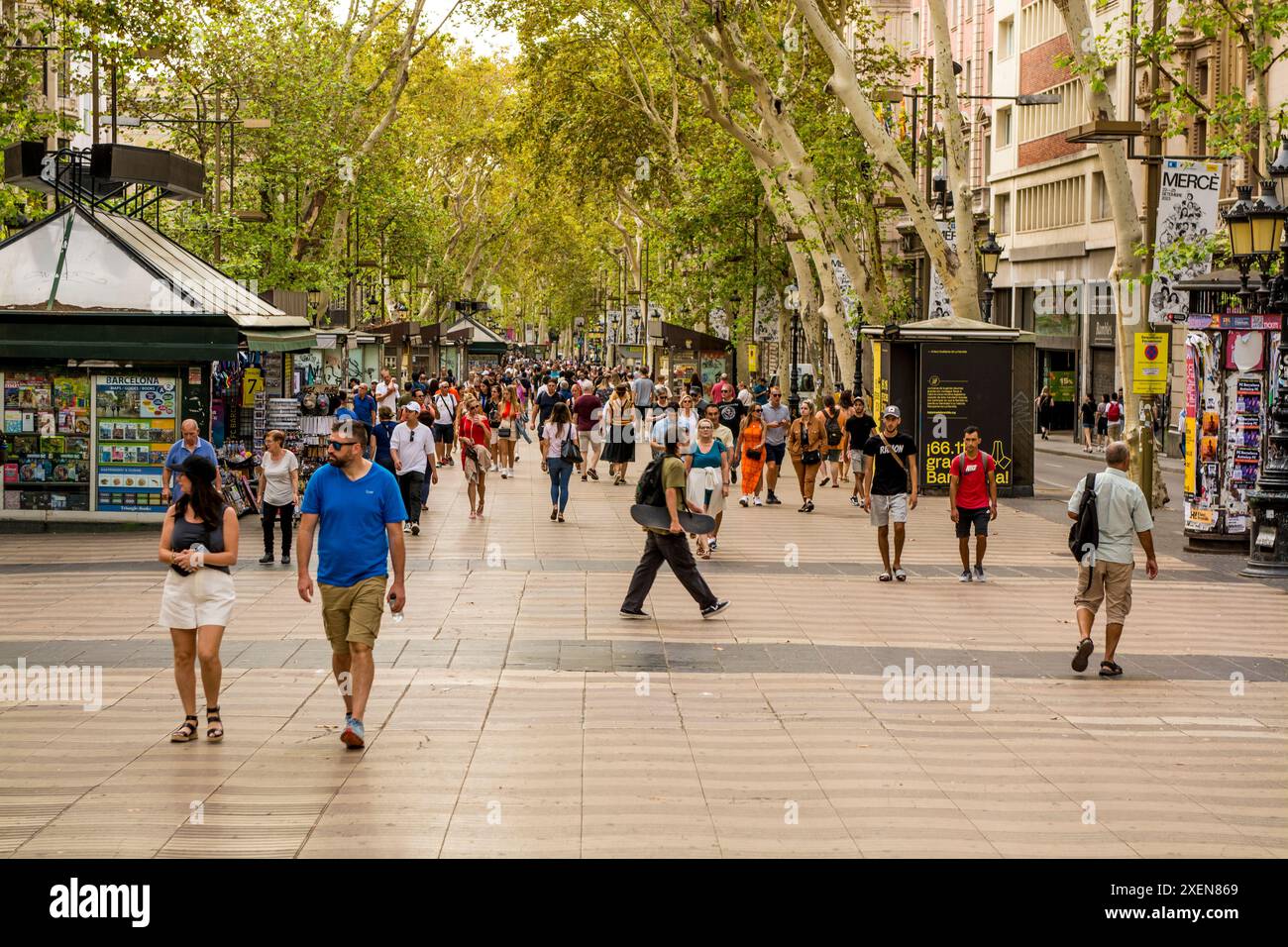 Las Ramblas ou boulevard piétonnier bordé d'arbres de la Rambla, Barcelone, Espagne. Banque D'Images