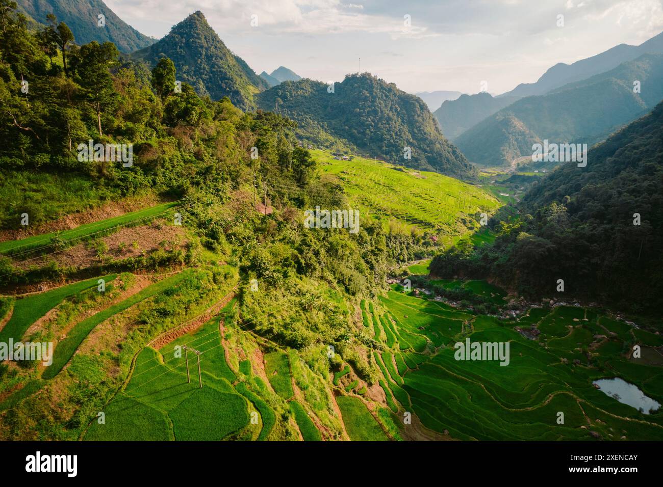 Terres agricoles verdoyantes en terrasses sur un terrain montagneux, Vietnam ; Nam PAM, Muong la District, son la, Vietnam Banque D'Images