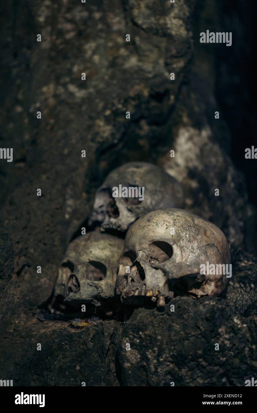 Crânes humains dans le cimetière antique de Londa à l'intérieur de Sulawesi Selatan, Indonésie Banque D'Images