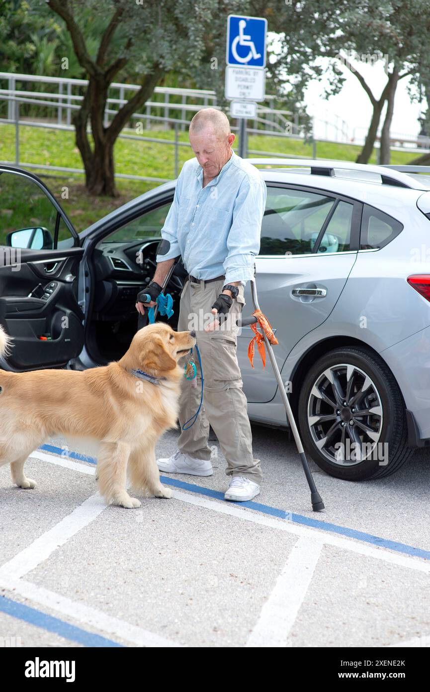 L'homme paraplégique avec des béquilles d'avant-bras obtient son chien d'assistance pour récupérer ses clés de véhicule dans un parking Banque D'Images