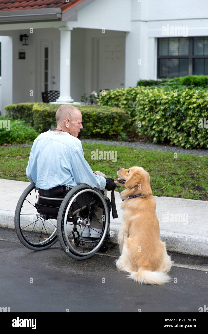 Homme paraplégique dans un fauteuil roulant manuel avec un chien d'assistance restreint sur un trottoir à l'extérieur d'un immeuble résidentiel Banque D'Images