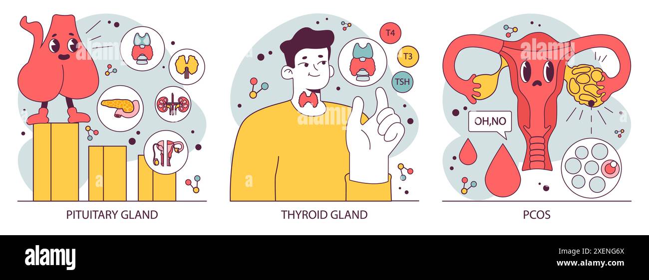 Organes du système endocrinien et ensemble pathologique. Le fonctionnement des glandes humaines. Hypophyse, surrénale et thyroïde. Sécrétion d'hormones humaines et. équilibre. Régulation du métabolisme. Illustration vectorielle plate Illustration de Vecteur