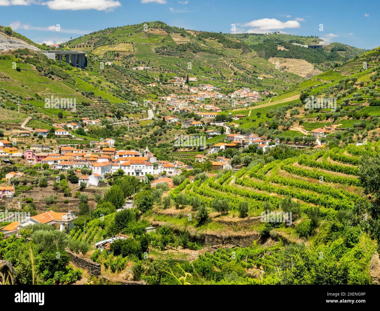 Portugal, Vallée du Douro, Pinhao. Les vignobles de la vallée du Douro au-dessus de Pinhao sont situés sur des collines en terrasses au-dessus du fleuve Douro. Banque D'Images
