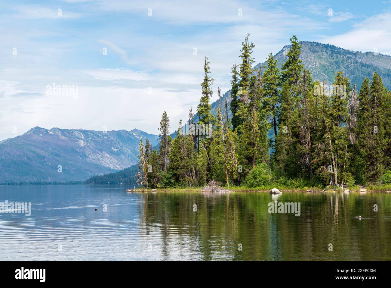 Image horizontale d'une petite île couverte d'arbres à feuilles persistantes située dans le lac Wenatchee, Washington, avec les montagnes Cascade en arrière-plan. Banque D'Images