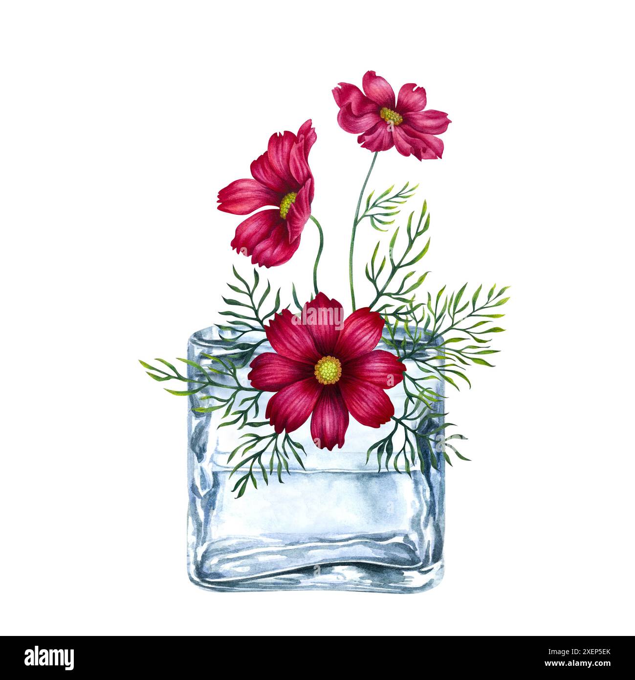 Vase en verre vintage clair avec un bouquet de fleurs cosmos rouges et violettes. Illustration aquarelle pour les modèles de conception de la fête des mères, Valentine's Da Banque D'Images