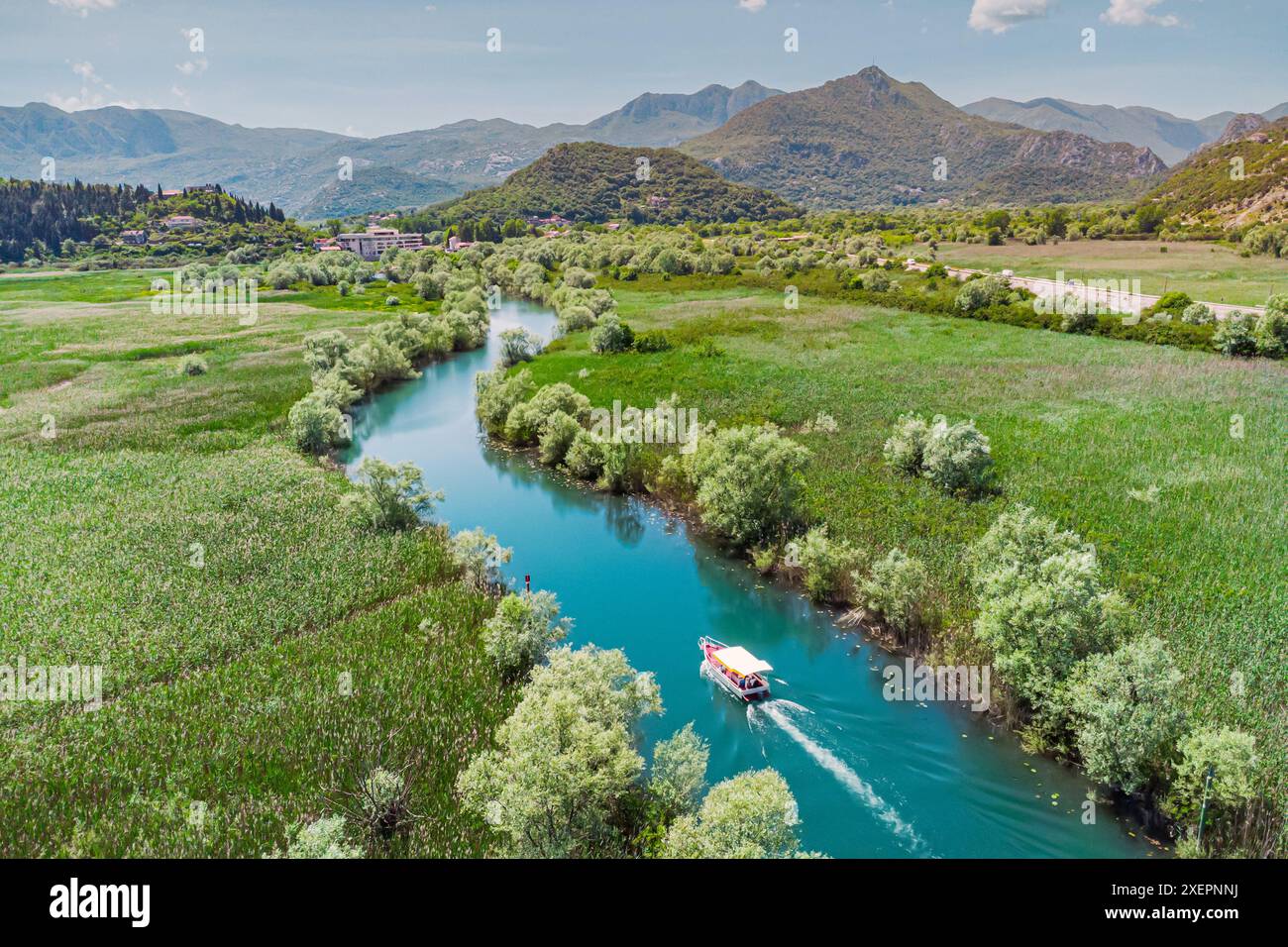 Touristes appréciant une excursion écologique sur un bateau au lac Skadar sur leur voyage pour l'observation des oiseaux et pour les nénuphars Banque D'Images