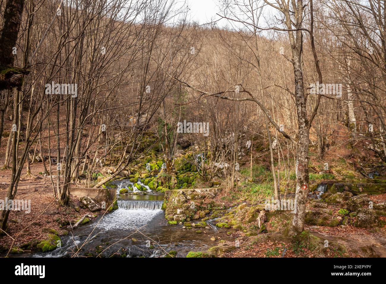 Photo du lac de la source Grza à Paracin, Serbie. Vrelo Grze est une source naturelle pittoresque et une destination de sortie populaire près de Paraćin en Ser Banque D'Images