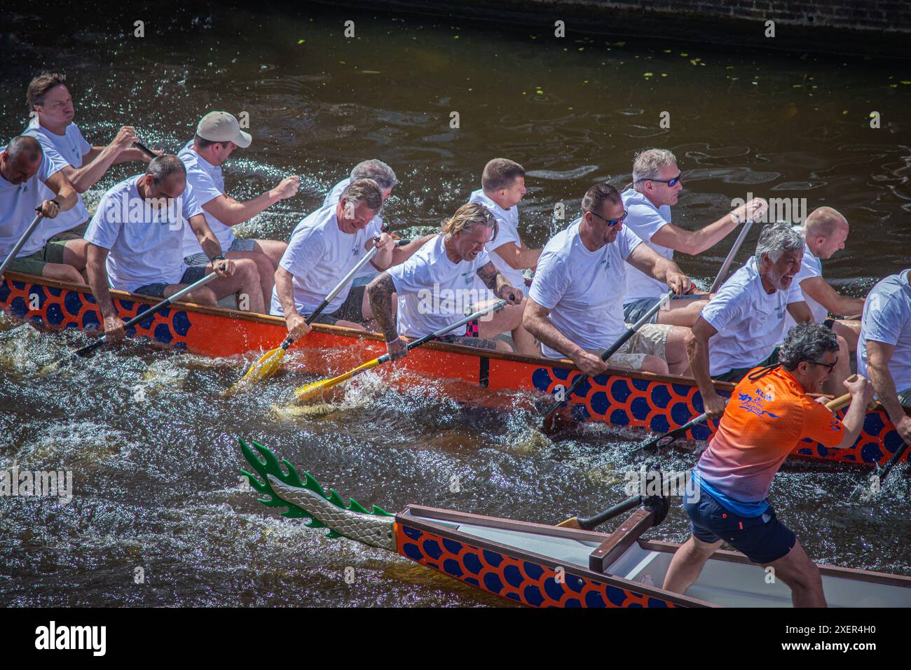 29. 06. 2024 : Leyde, pays-Bas, COURSES traditionnelles DE BATEAUX DRAGON ROUGES dans le canal de Leyde, les équipes d'aviron s'affrontent dans les longs bateaux Banque D'Images