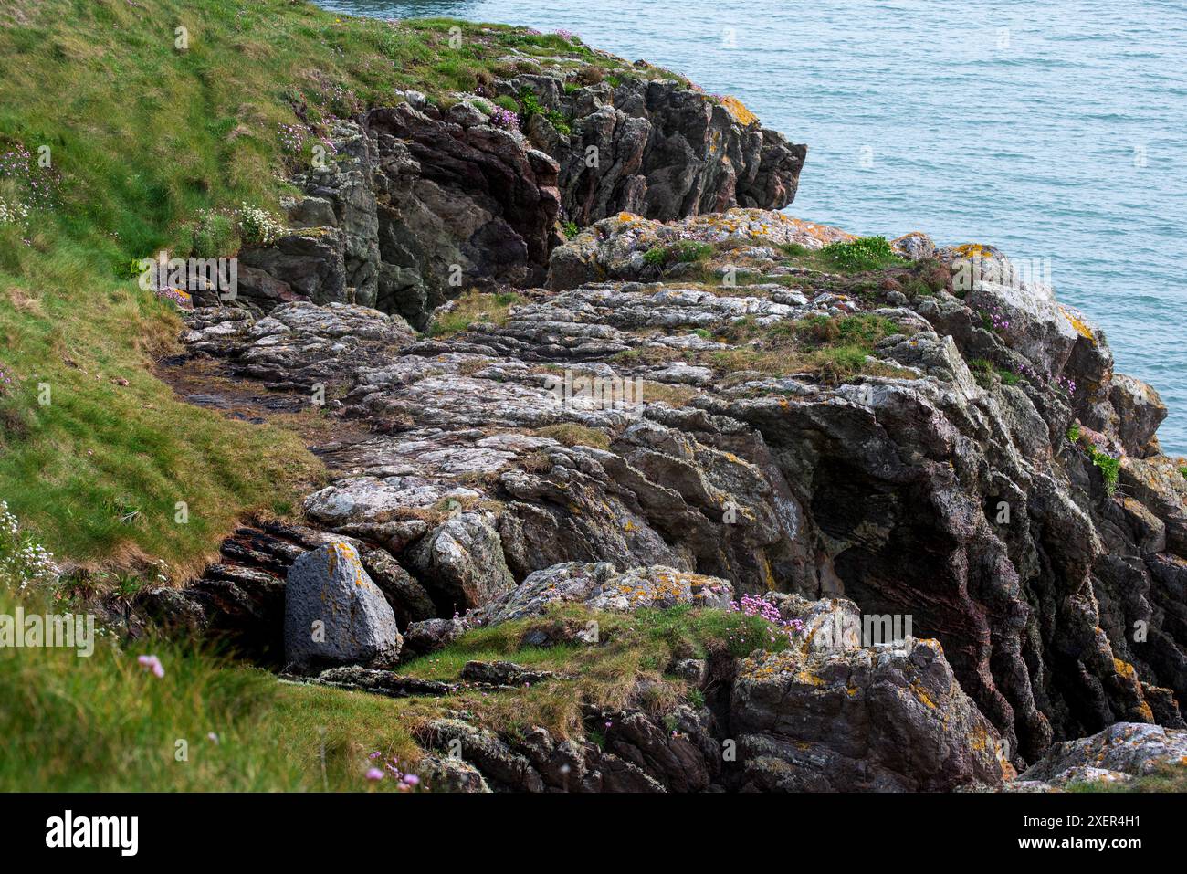 Promenade dans la falaise sur la péninsule de Howth, Suton Shore, Dublin, Republica of Ireland Banque D'Images