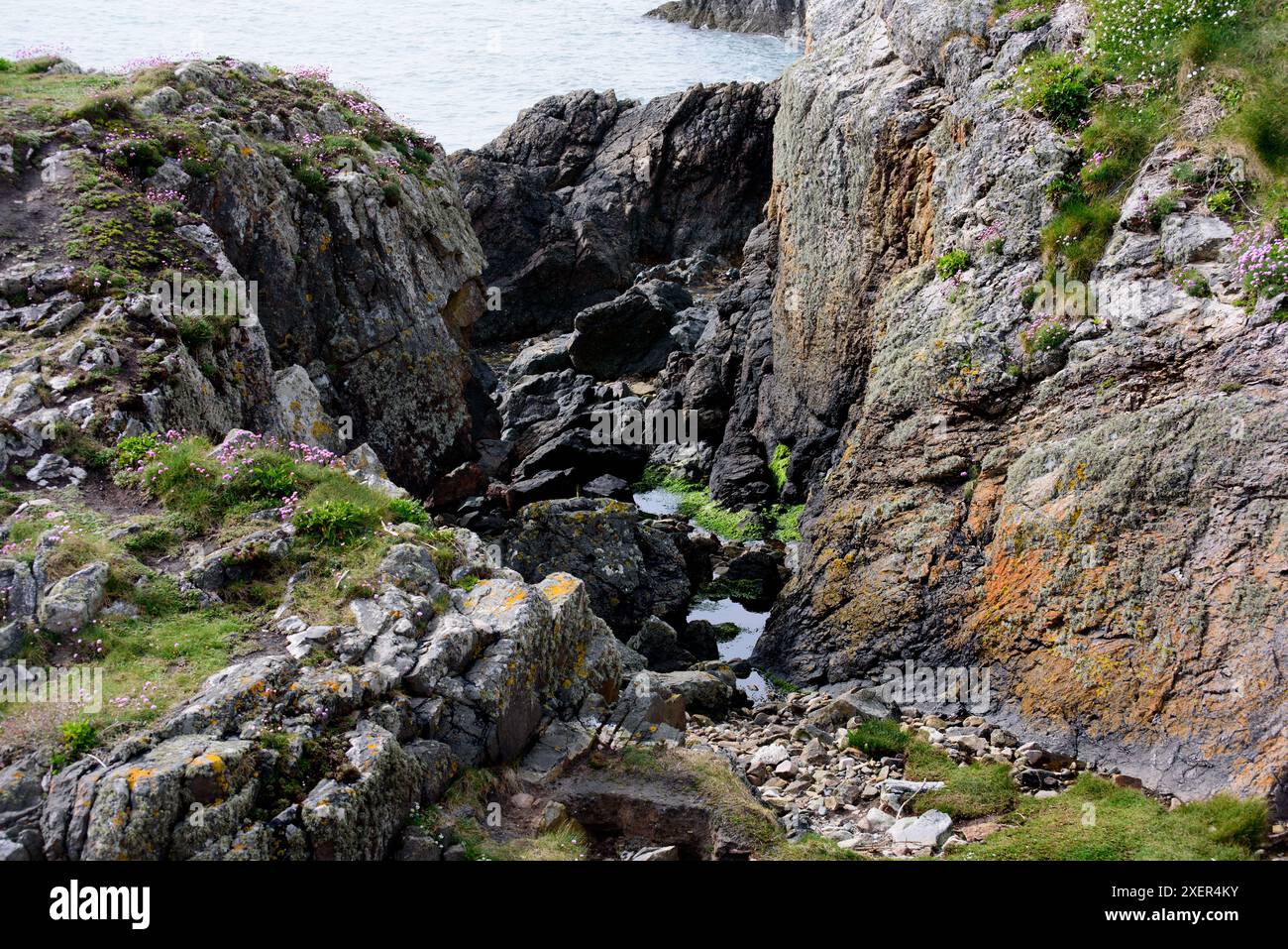 Promenade dans la falaise sur la péninsule de Howth, Suton Shore, Dublin, Republica of Ireland Banque D'Images