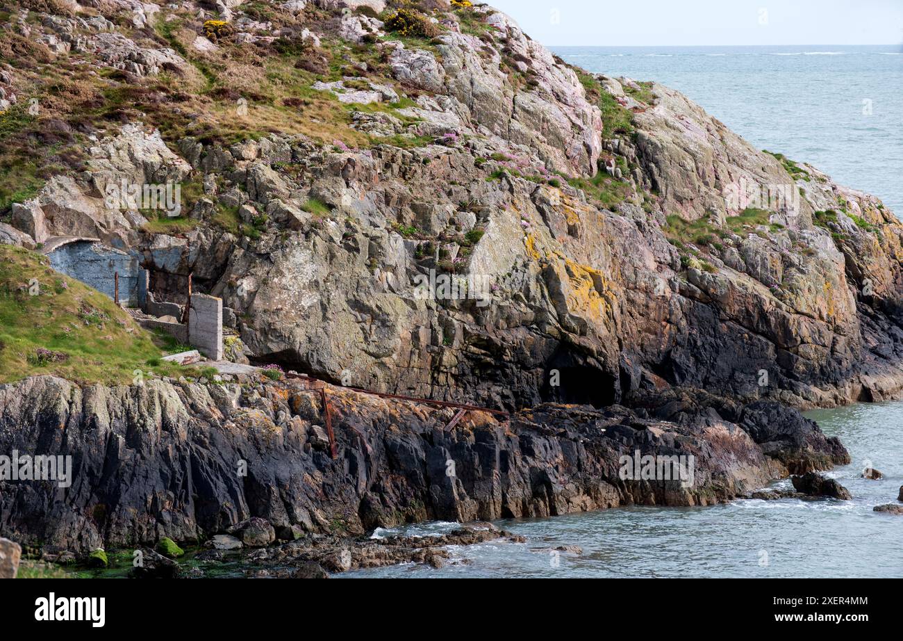 Promenade dans la falaise sur la péninsule de Howth, Suton Shore, Dublin, Republica of Ireland Banque D'Images