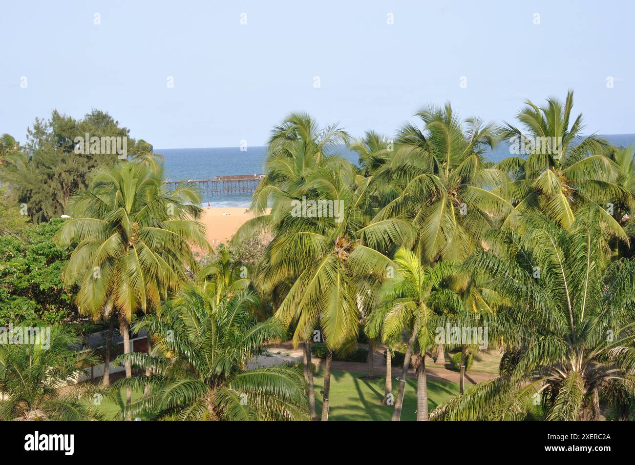 Golfe de Guinée et palmiers luxueux, Lomé, Togo, Afrique de l'Ouest Banque D'Images