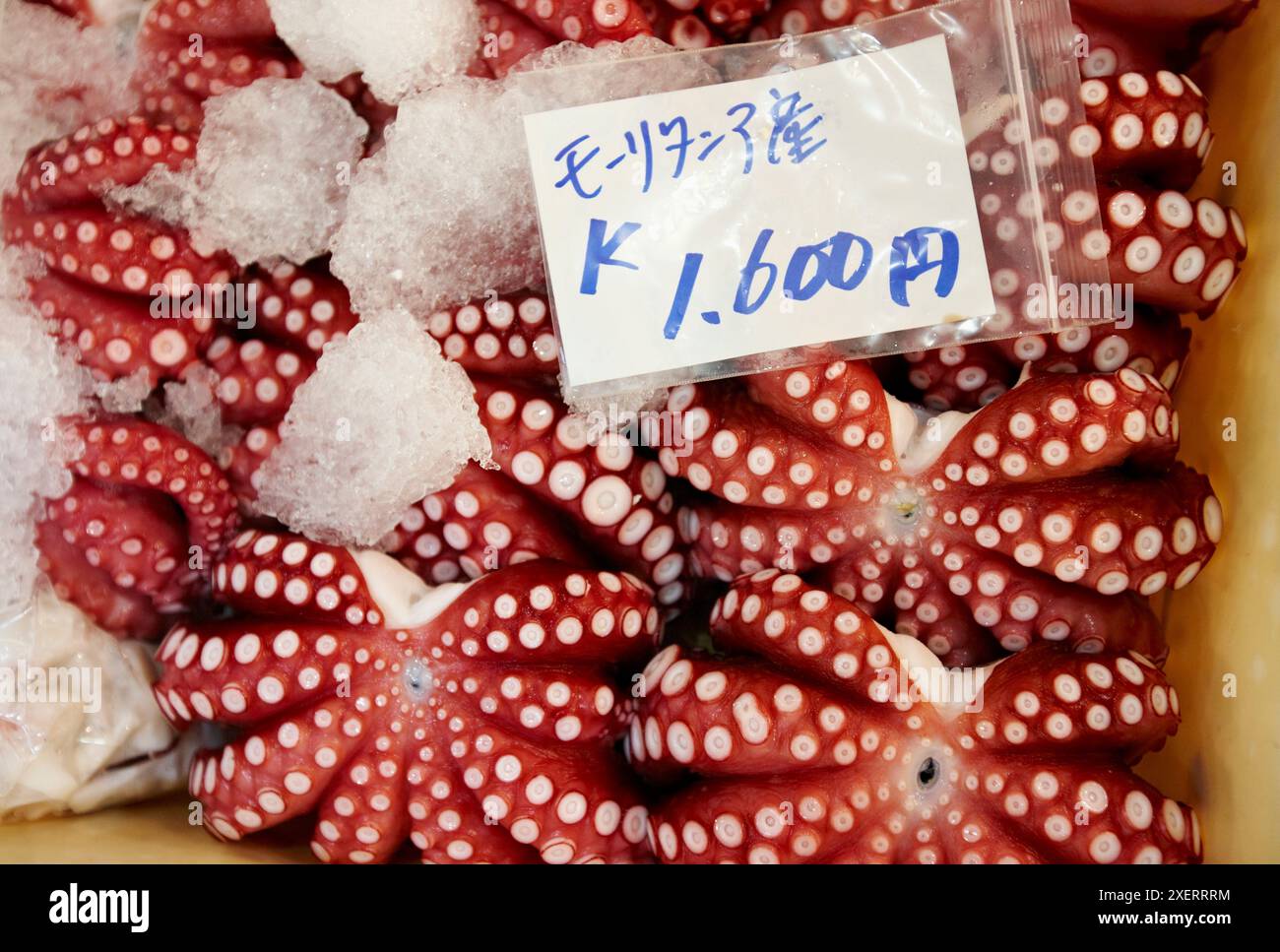 Le poulpe, le marché aux poissons de Tsukiji, Tokyo, Japon. Banque D'Images