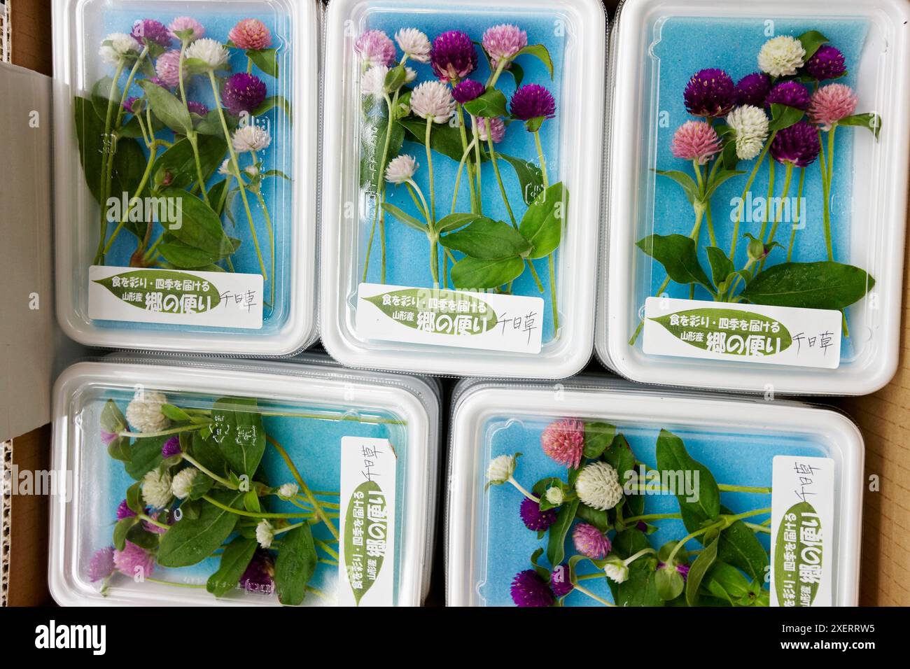 Fleurs comestibles, légumes du marché de Tsukiji, à Tokyo, au Japon. Banque D'Images