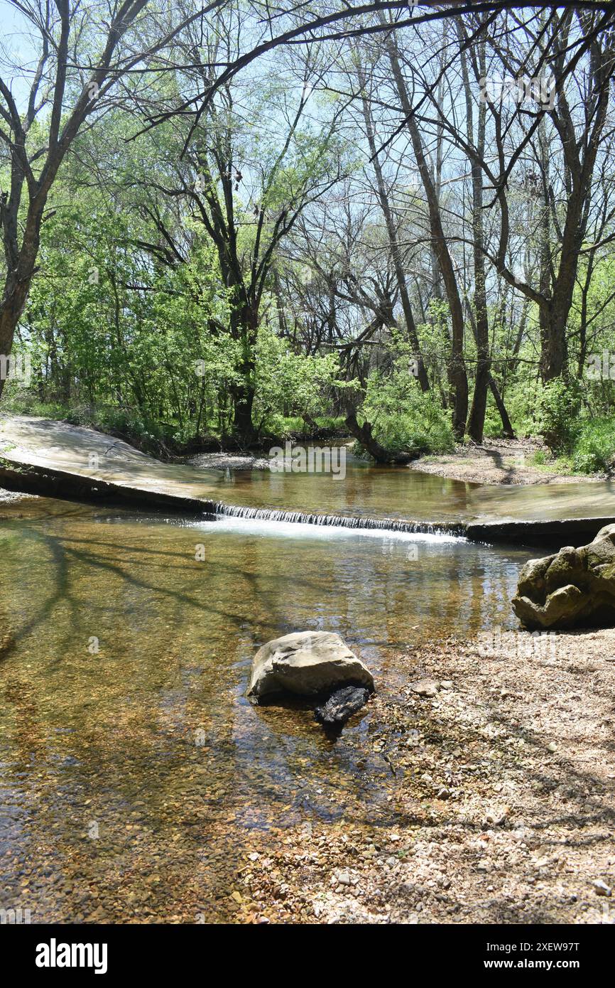 Johnson Creek traverse un petit pont en béton à basse altitude à l'entrée de Paris Springs Access et coule jusqu'à Turnback Creek. Banque D'Images