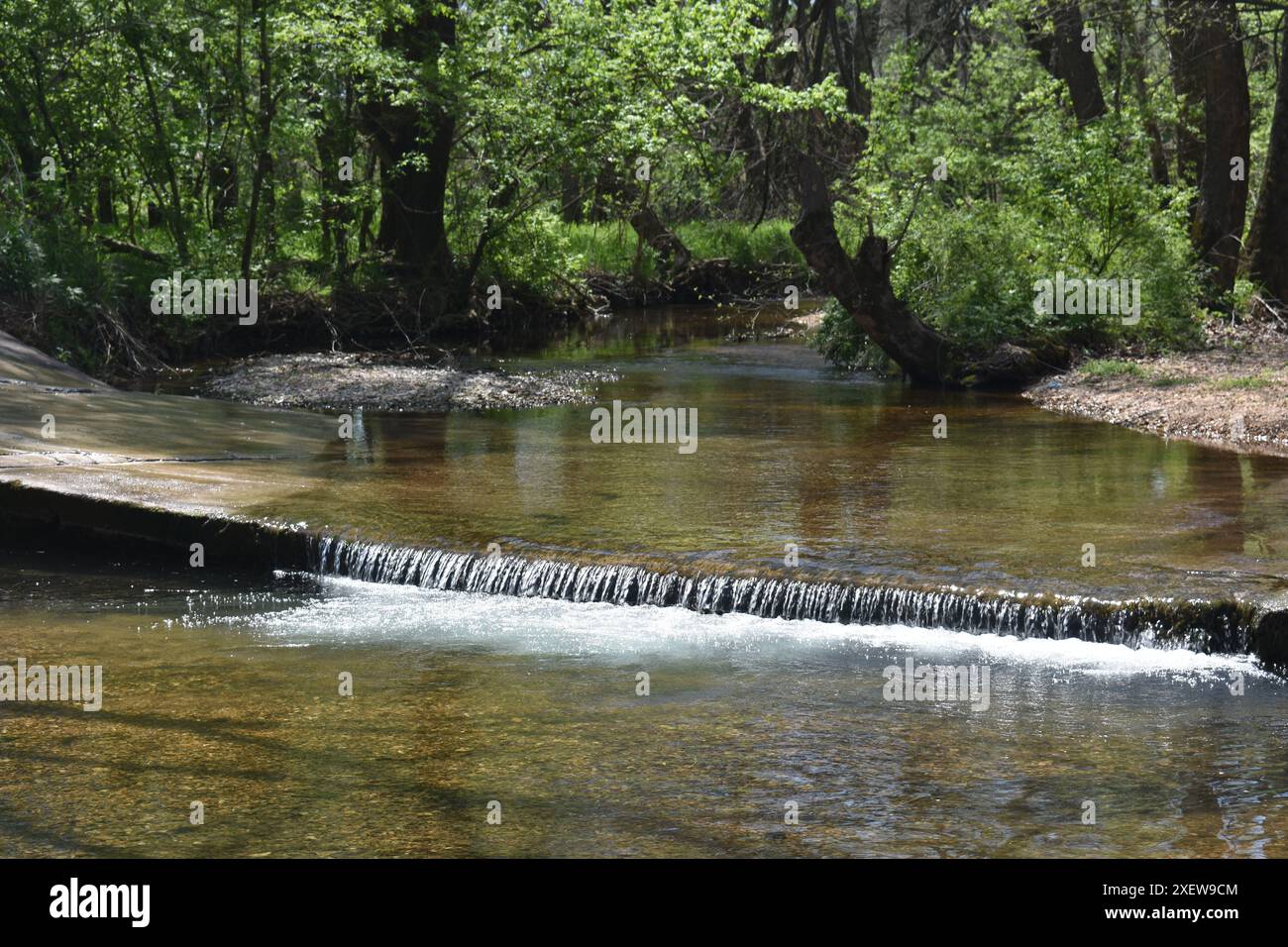 Johnson Creek traverse un petit pont en béton à basse altitude à l'entrée de Paris Springs Access et coule jusqu'à Turnback Creek. Banque D'Images